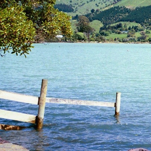 WORDS AND THE SPACES BETWEEN THEM